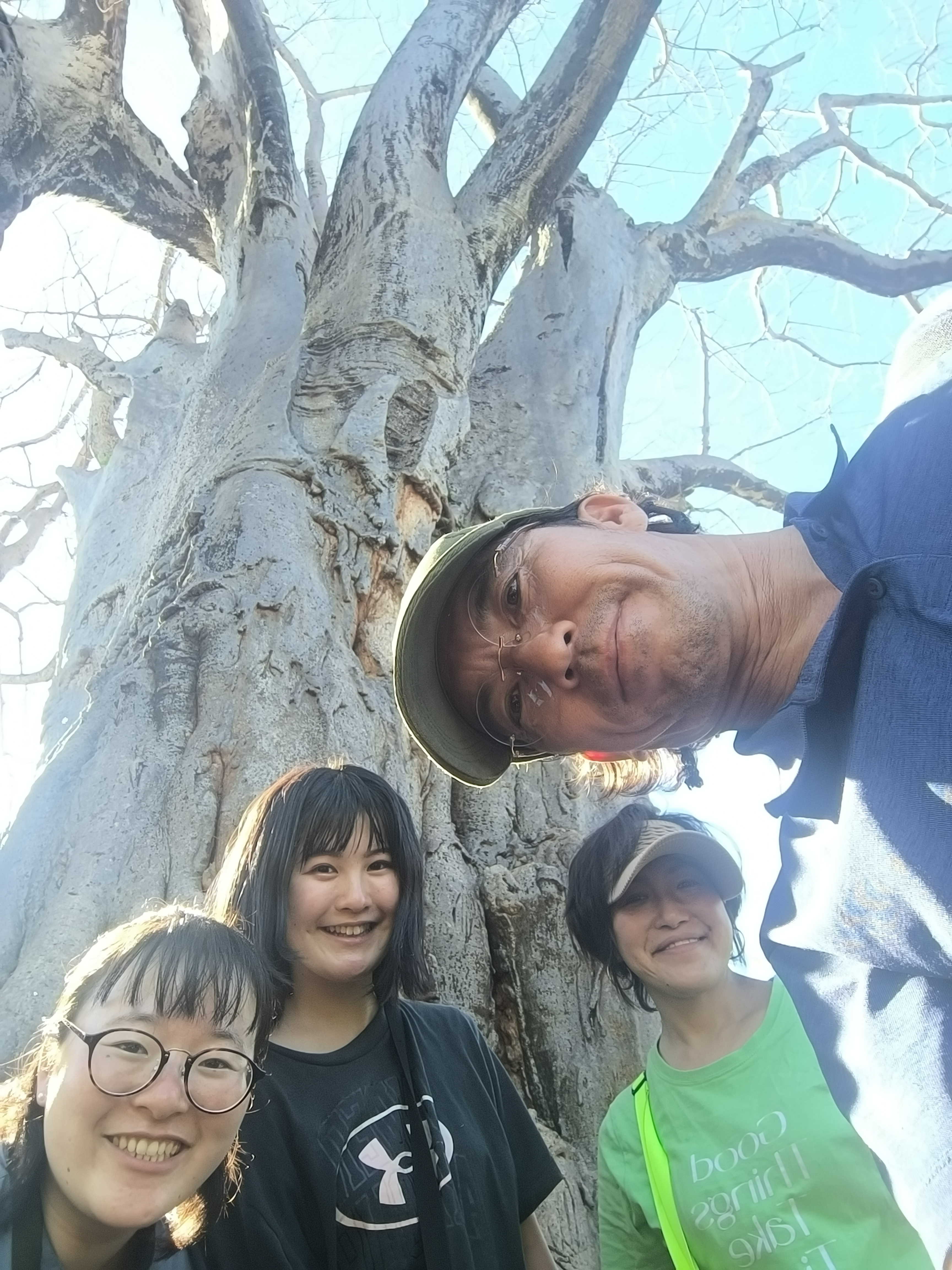 Even 10 people can't wrap their arms around it!? Inside Kenya's giant baobab tree, you won't believe what animal was hiding inside! 🌳👀